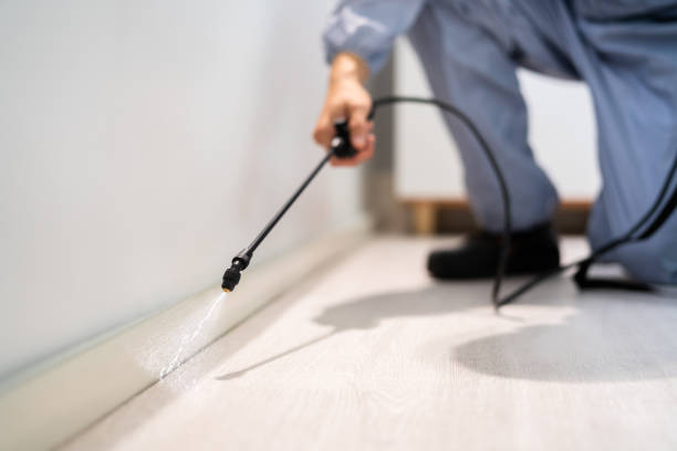 Professional exterminator conducting IPM assessment in Windcrest